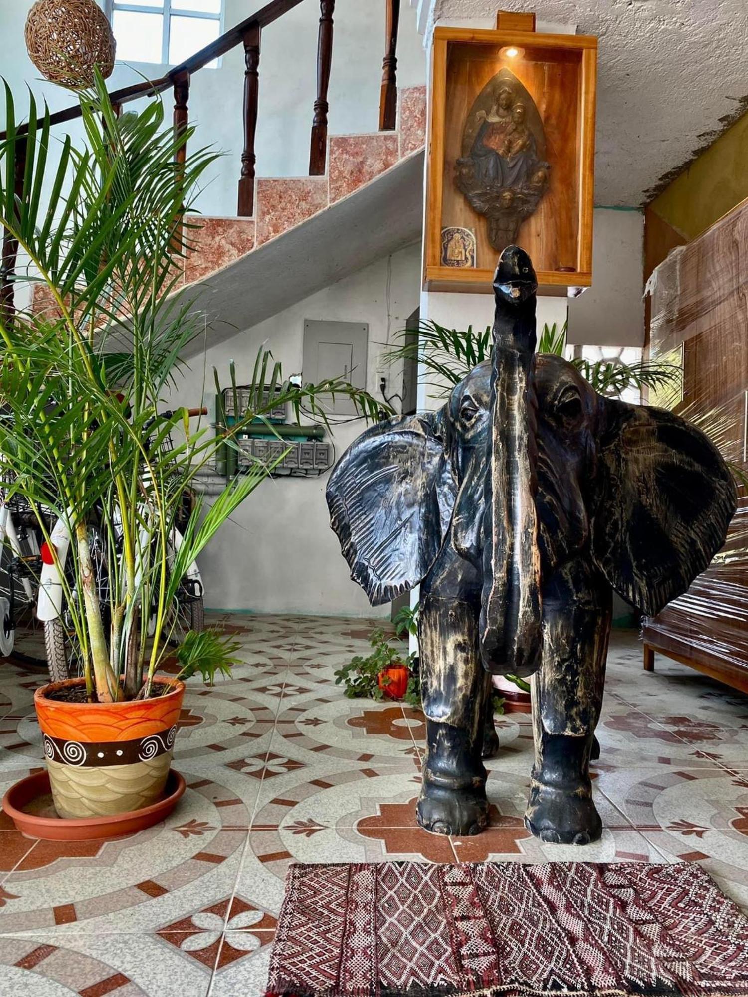 Casa Gajah Hotel Cuyo Zewnętrze zdjęcie
